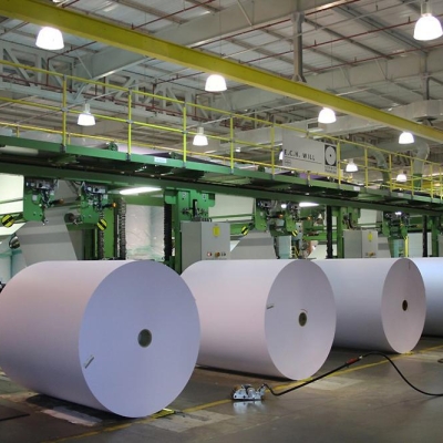 Papel e Celulose